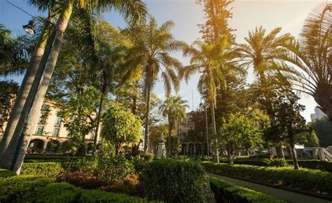 Parque Juárez: Um Refúgio Verde e Tranquilo no Coração de Juaréz!