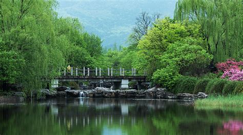 O Jardim Botânico de Beijing: Um Oásis Verde em Meio ao Coração Vibrante da Capital Chinesa!