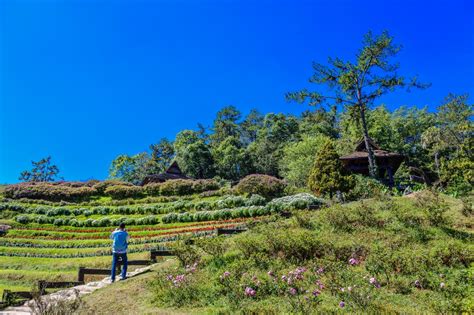 Jardim Botânico de Huai'an: Um Oásis Vibrante para a Alma e um Refúgio da Agitação Urbana!