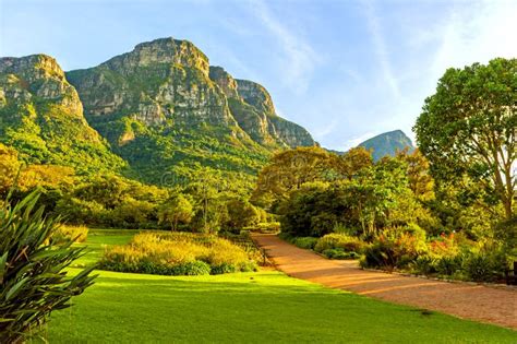 O Jardim Botânico Nacional de Ysterplaat: Um Oásis Verde em Meio ao Burburinho Urbano!