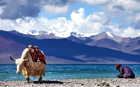  O Lago Namtso: Um Espelho Celestial Refletido nas Montanhas do Tibete!