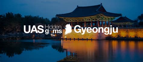 O Q-Tree Garden: Uma Jóia Verde Escondida em Gyeongju!